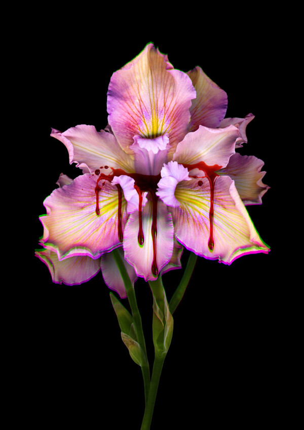 Endo_InseratA4Hoch und 1_23